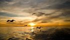 Governance of marine areas beyond national jurisdictions