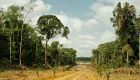 Sustainable development goals and our fascination with mega-targets